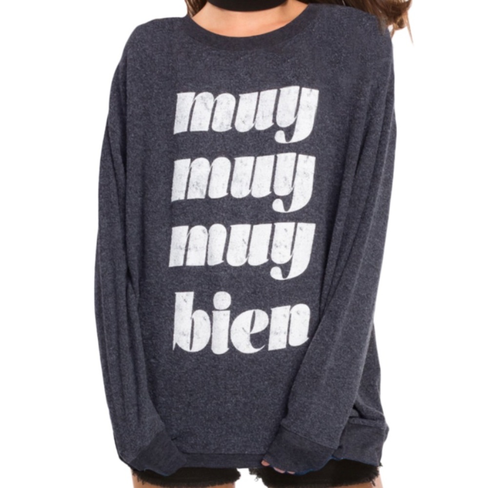 Wildfox road trip sweater size small